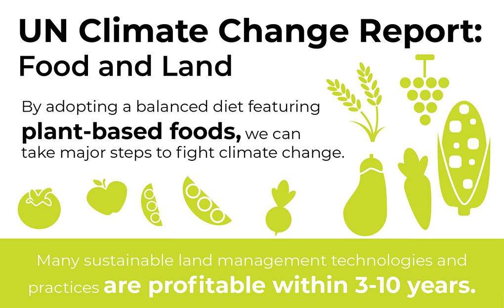 UN climate change report: Food and Land. By adopting balanced diet featuring plant-based foods, we can take major steps to fight climate change