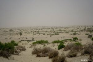 Thar desert, India