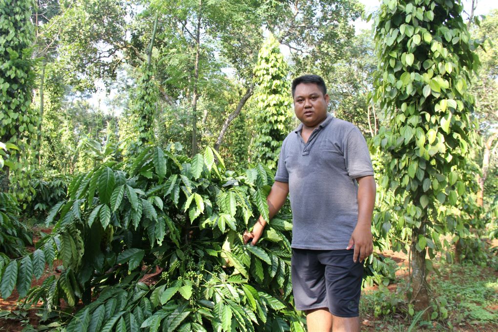 <p>Farmer Y Bel Eban in his coffee farm, Krong village, Buon Ma Thuot, Vietnam [image by: Karoline Kan / China Dialogue]</p>