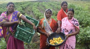 four smallholder farmers in Marathwada hold their produce