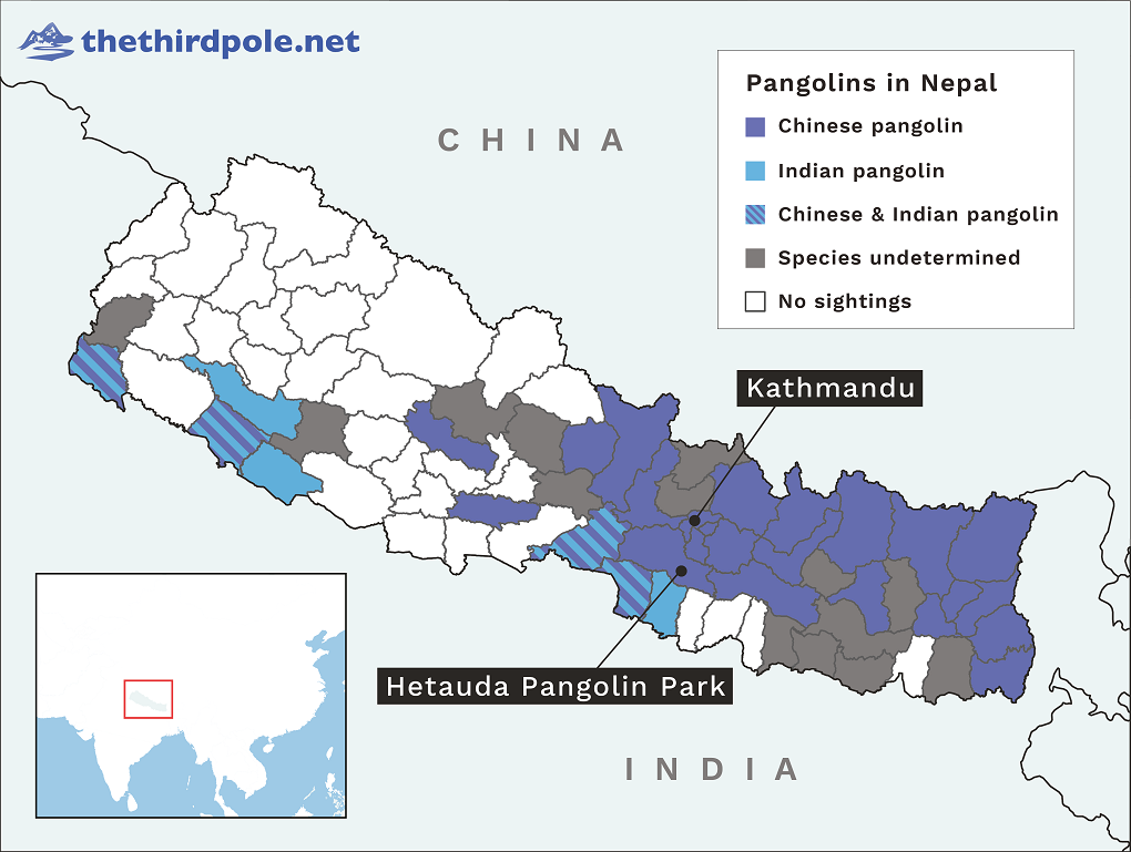 map of Hetauda pangolin park. Sightings of Chinese and Indian pangolin shown. 