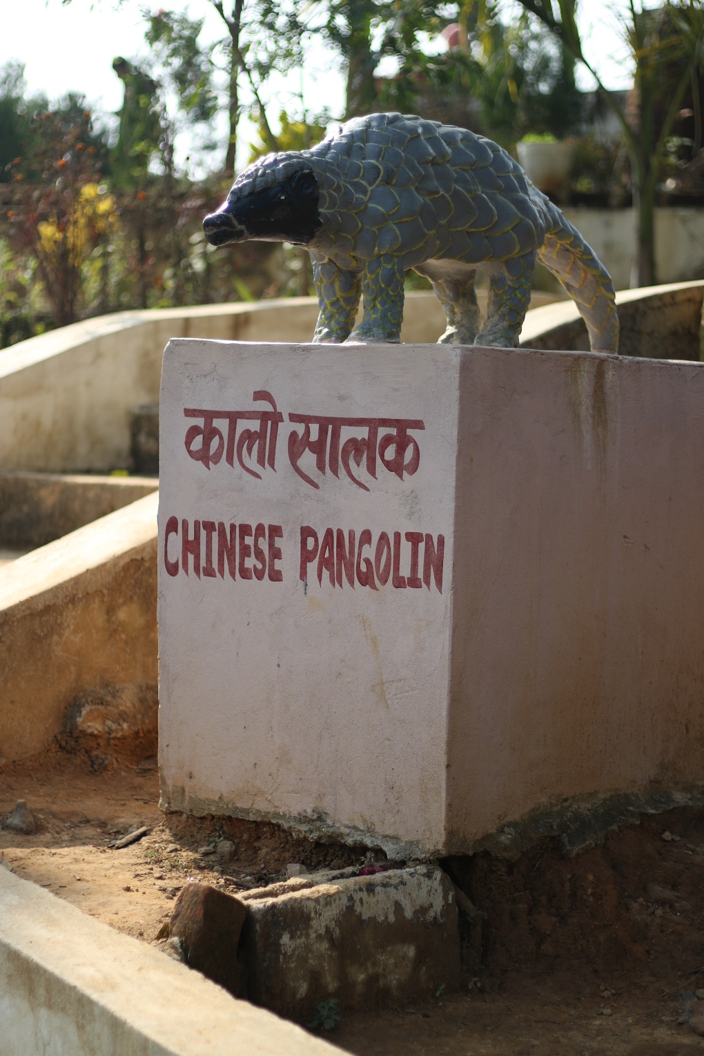 Statue of the Chinese pangolin