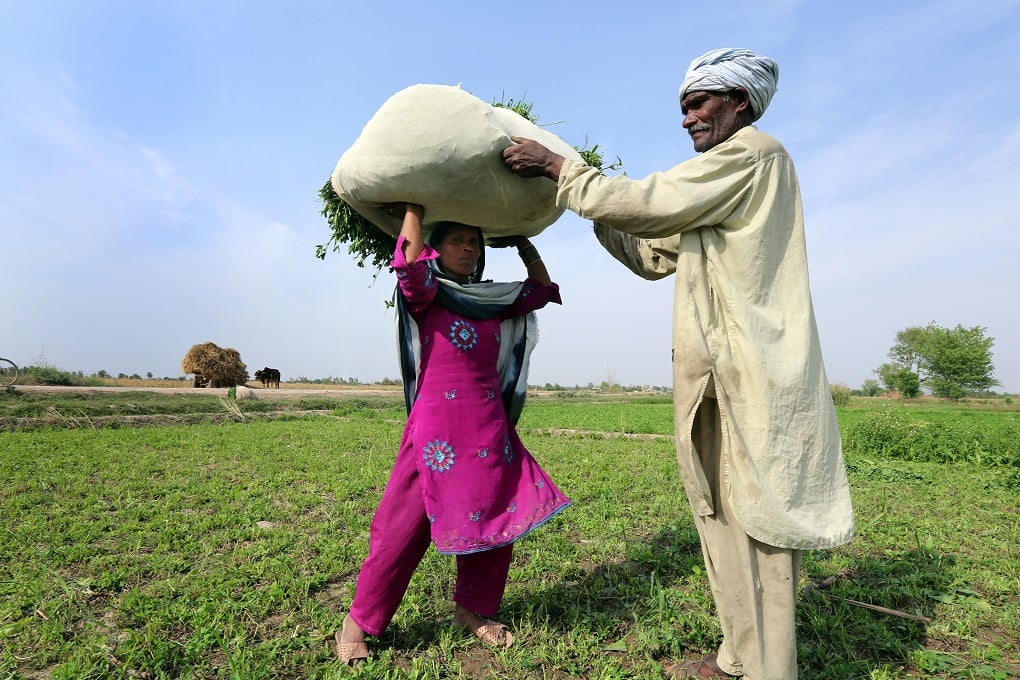 Farmers carry a sack of harvested clover to feed their animals, near Khuspur village, Punjab Province, Pakistan [image: Alamy]