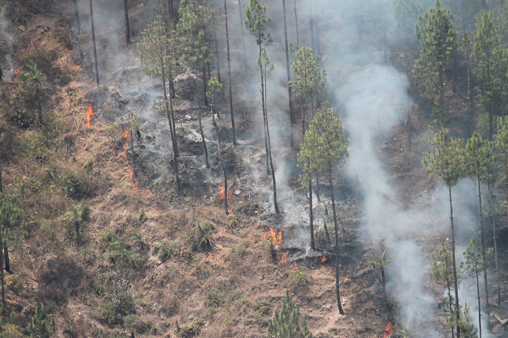 <p>Forest fire near Ramgarh, Uttarakhand [Image by: Joydeep Gupta]</p>