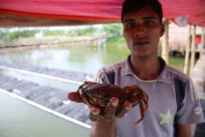 man holding crab. coronavirus has destroyed Bangladesh crab exports