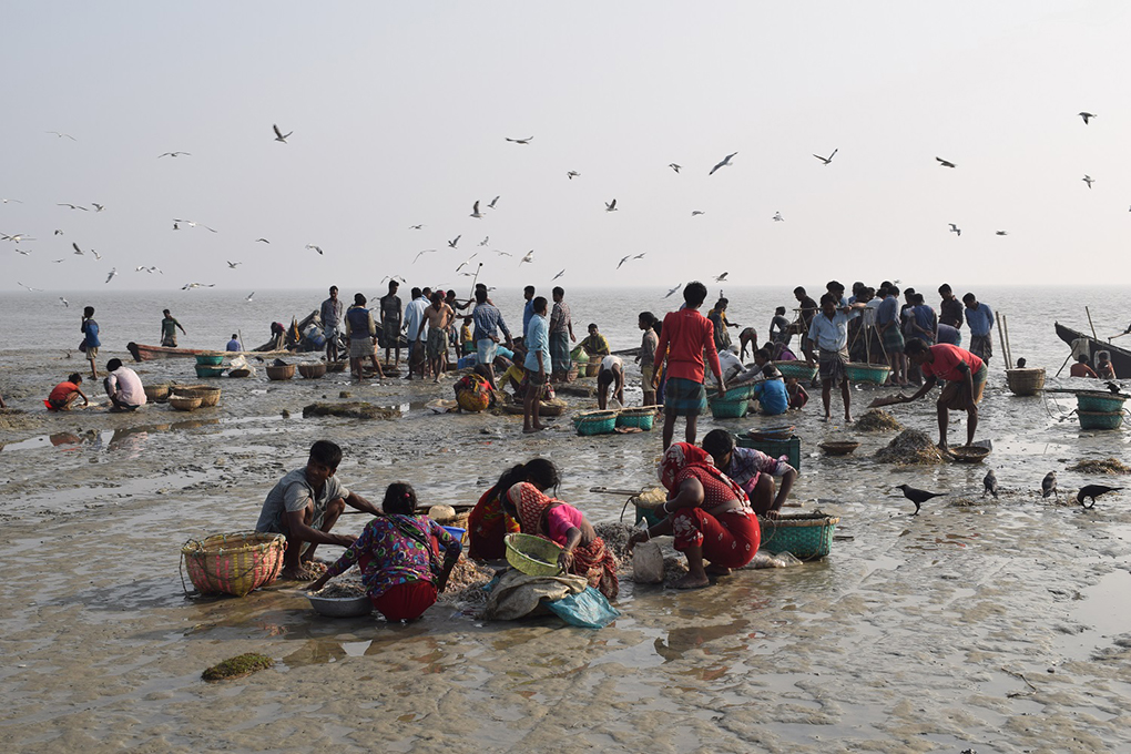 <p>A fish market on the Bangladeshi coast [Image by: Rafiqul Islam Montu]</p>