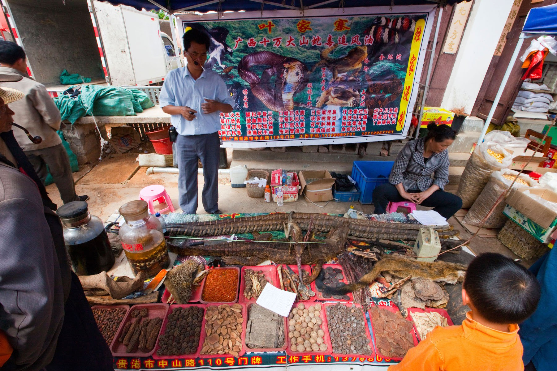 Exotic animals as traditional medicine on market day in Shaxi, Yunnan Province, China (Source: dbimages/Alamy)