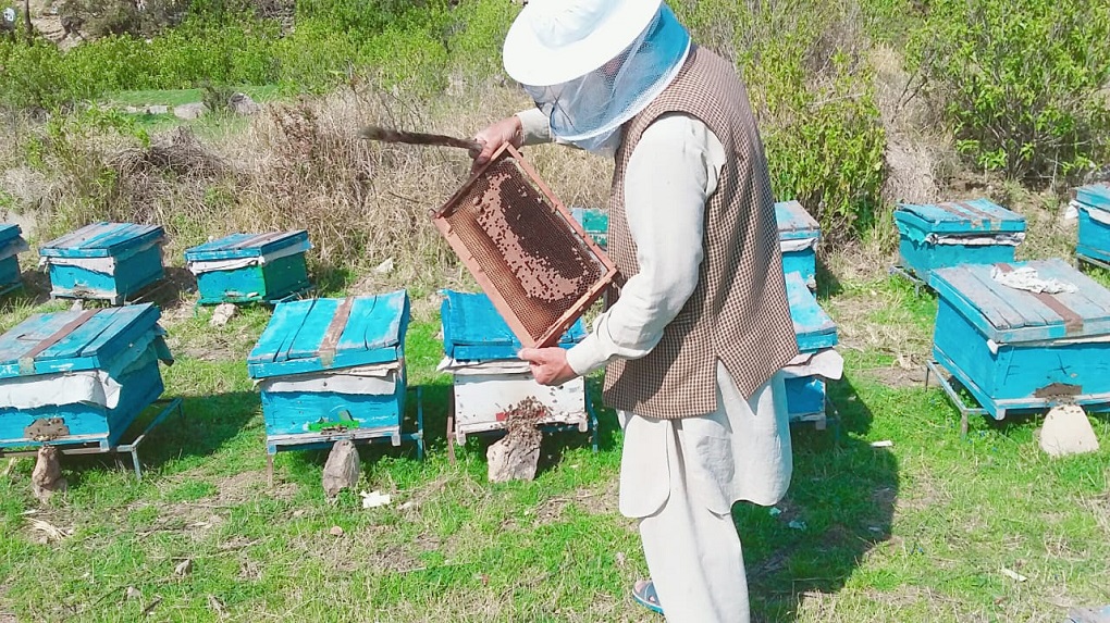 Zarine Khan is shown in the process of producing honey from beekeeping