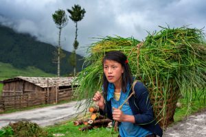 woman carrying grass in Phobjikha Valley