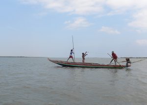 <p>For fishers of Pulicat, Tamil Nadu, the lockdown forced by the Covid-19 pandemic has worsened the problem of diminishing catch due to climate change and pollution [image by: Jency Samuel]</p>