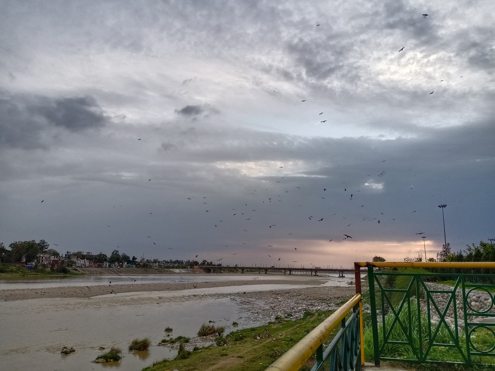The low level of river combined with blockages from dumped waste leaves the Tawi river sluggish near Jammu [image by: Rishika