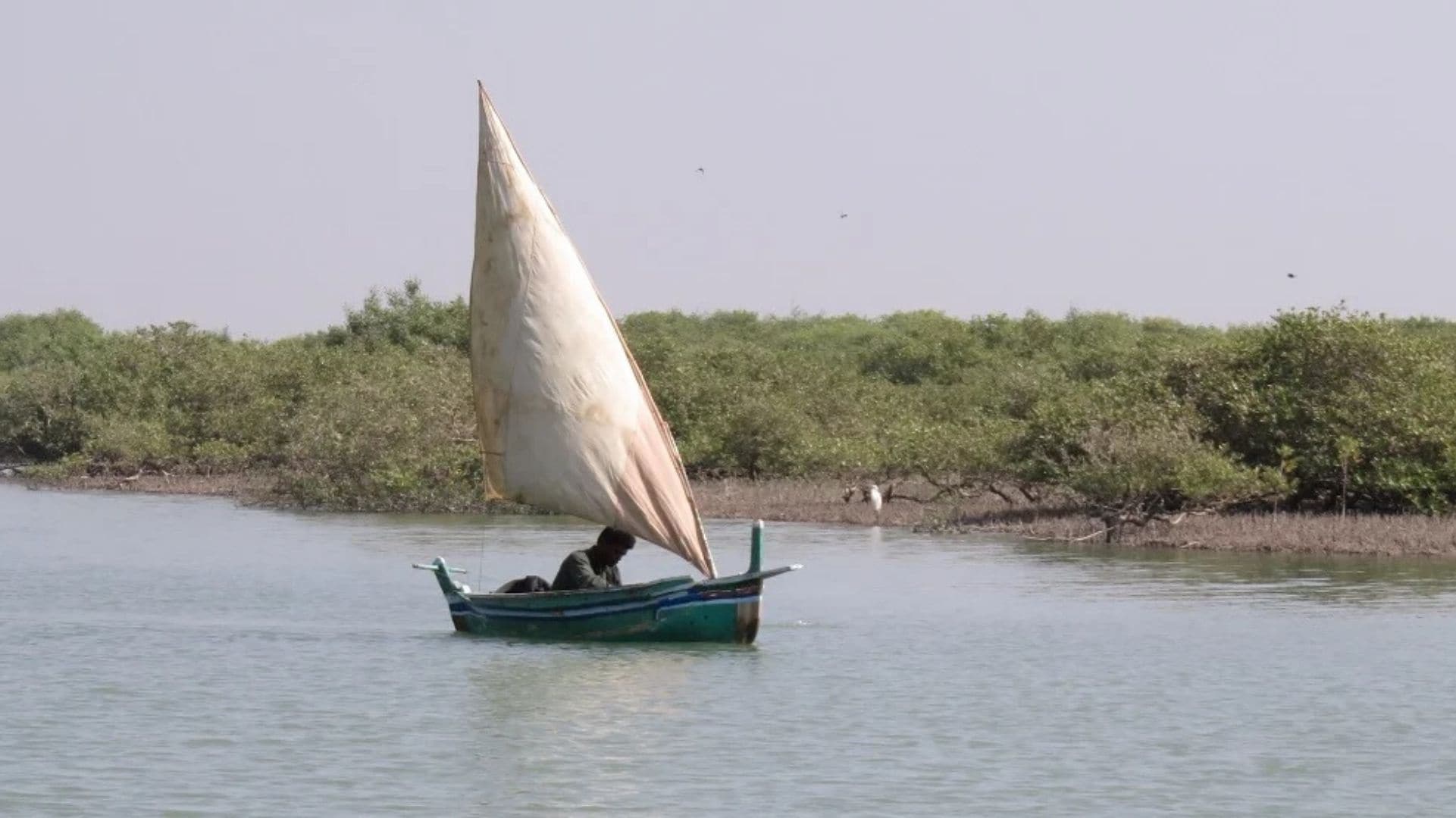 boat sailing across Indus River delta