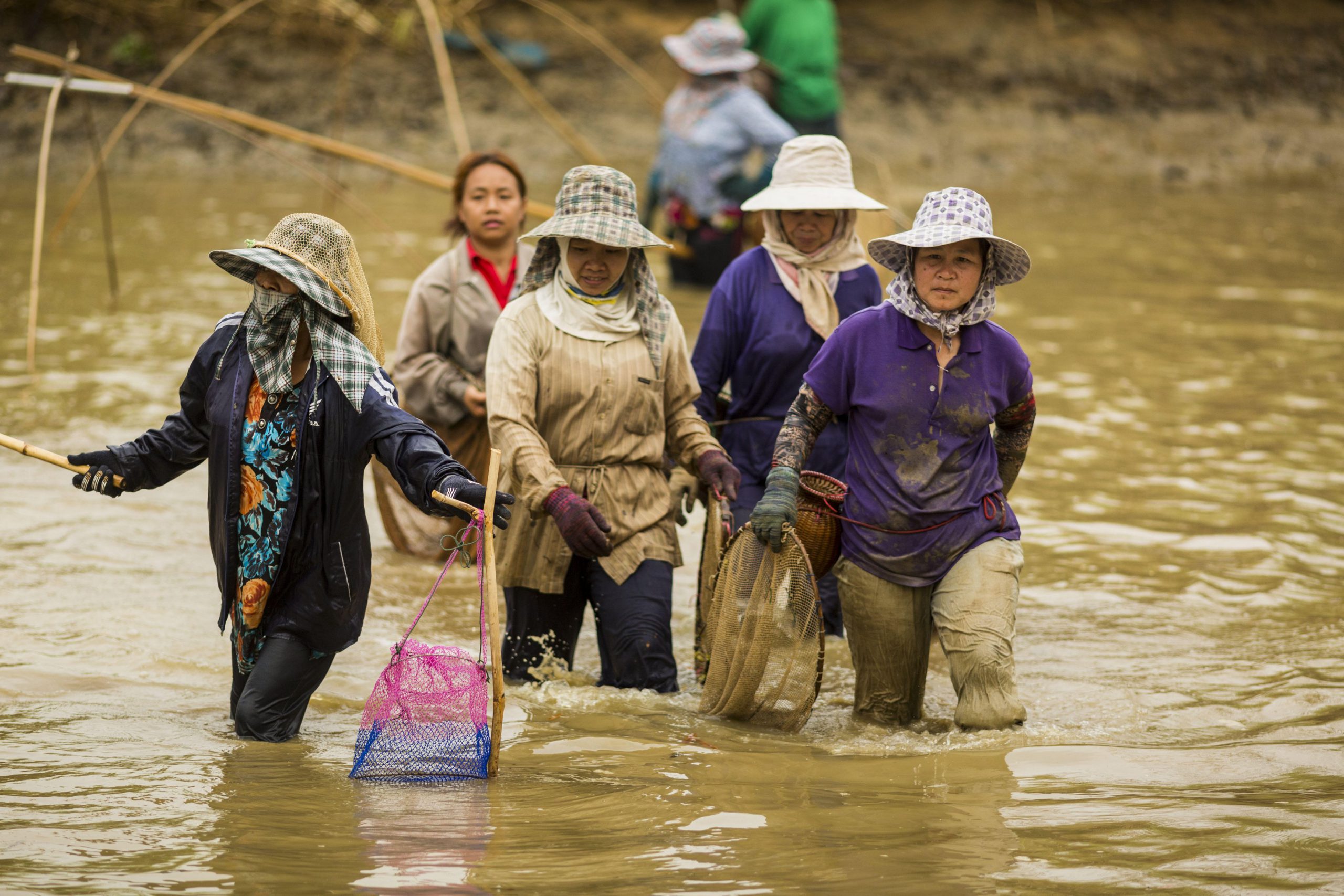 five women walk through fishing pond on Mekong river