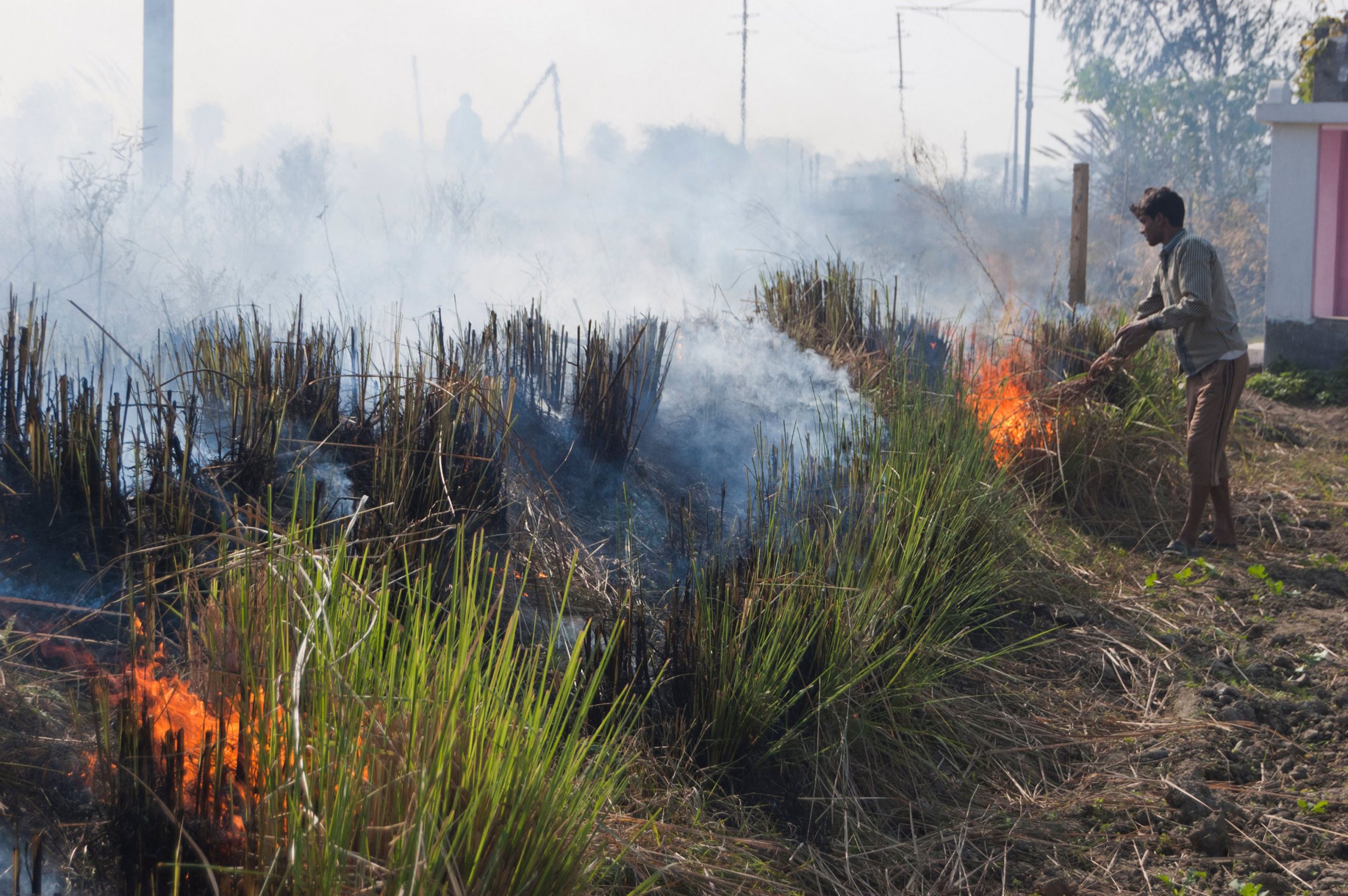 Man burning crops in South Asia