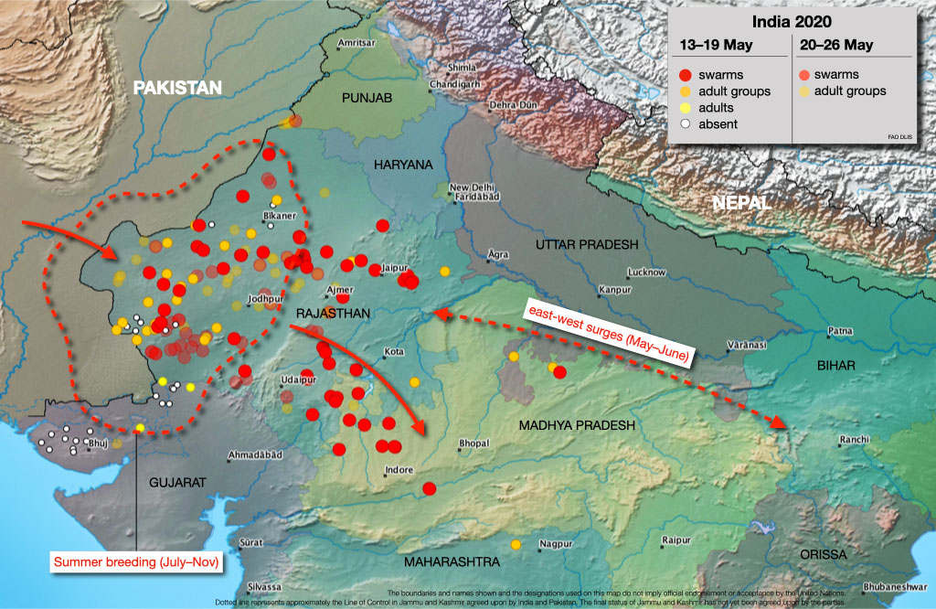 map of locust distribution in Pakistan