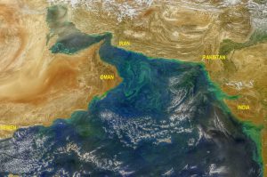 Algae blooms in the Arabian Sea seen from space [image by Norman Kuring/NASA]