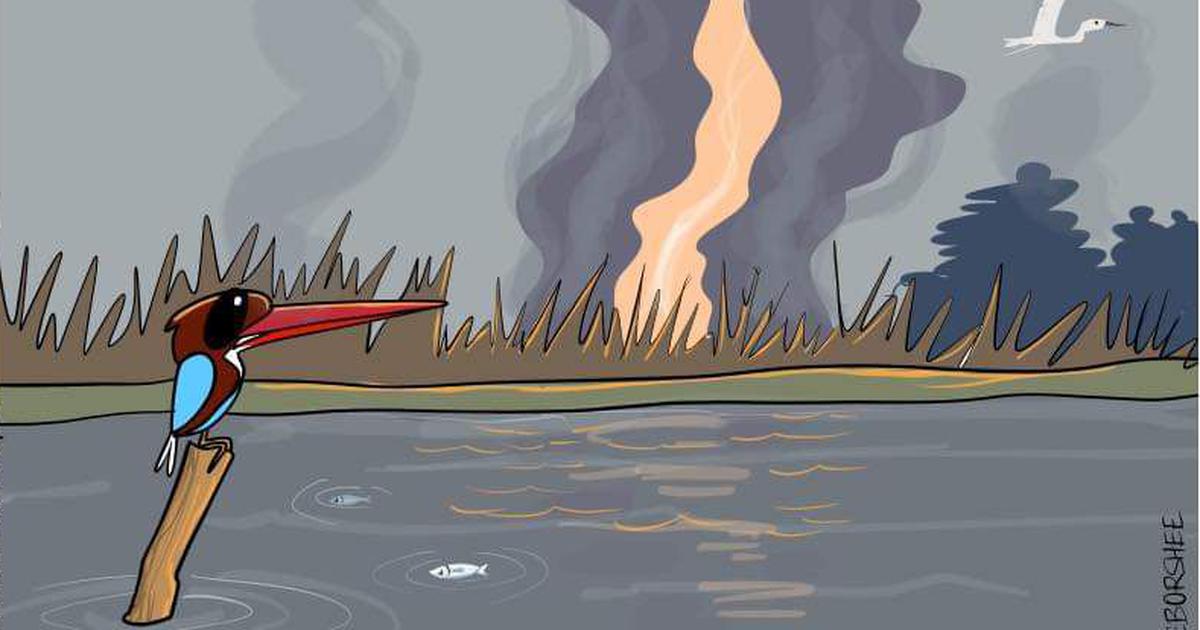 Oil well explosion Assam cartoon