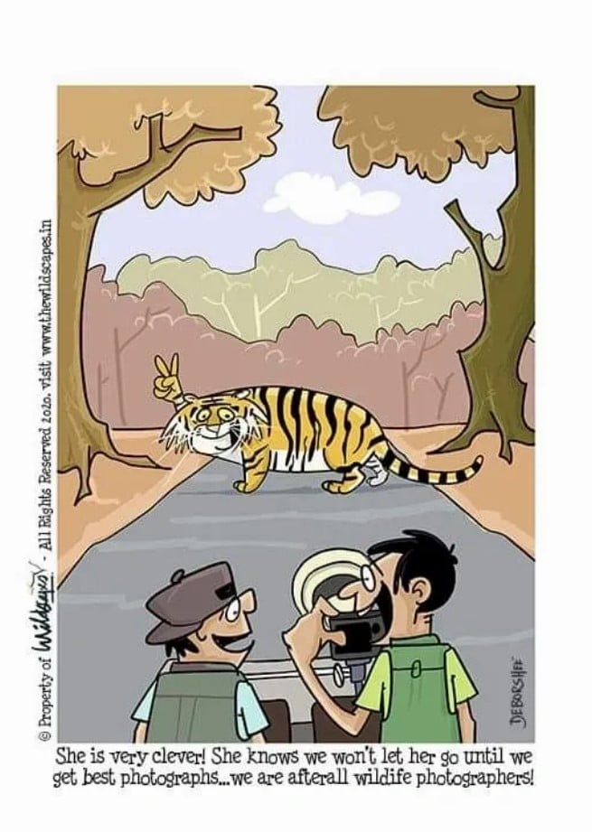 wildlife photographer cartoon Assam