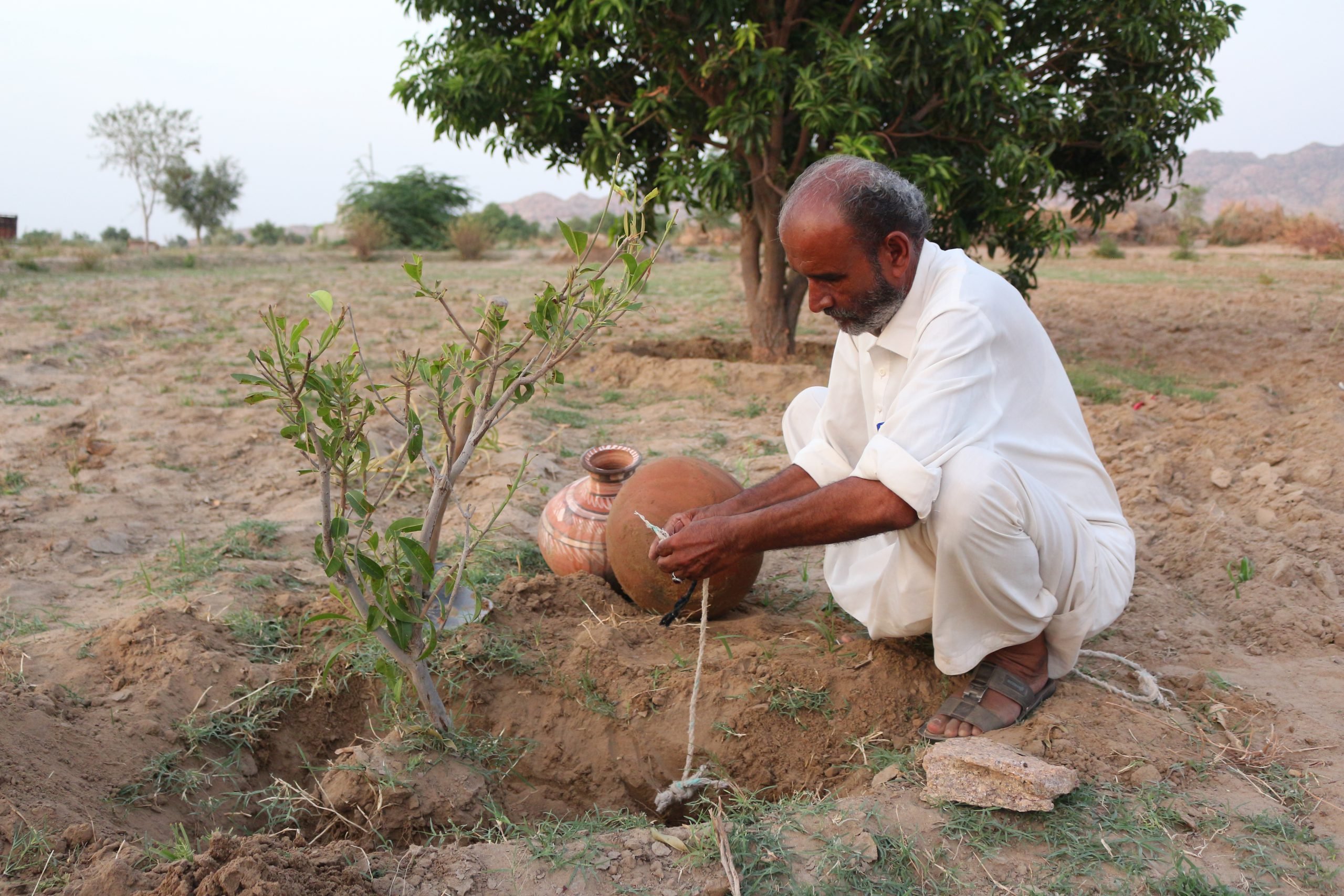 <p>Allahrakhio Khoso, a farmer in the Thar desert, has found a water-efficient way to grow crops [image by: Zulfiqar Khoso]</p>