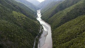<p>One of China&#8217;s last remaining habitats for the endangered green peafowl is the Konglong River nature reserve in Yunnan Province, which has been threatened by both mining and infrastructure projects. Local conservation groups have been fighting since 2017 to stop development of a new hydropower station that would flood the area. (Image © Wei Li / Greenpeace)</p>