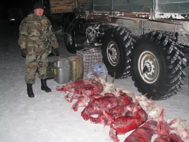 man stands next to poached saiga meat in 2009
