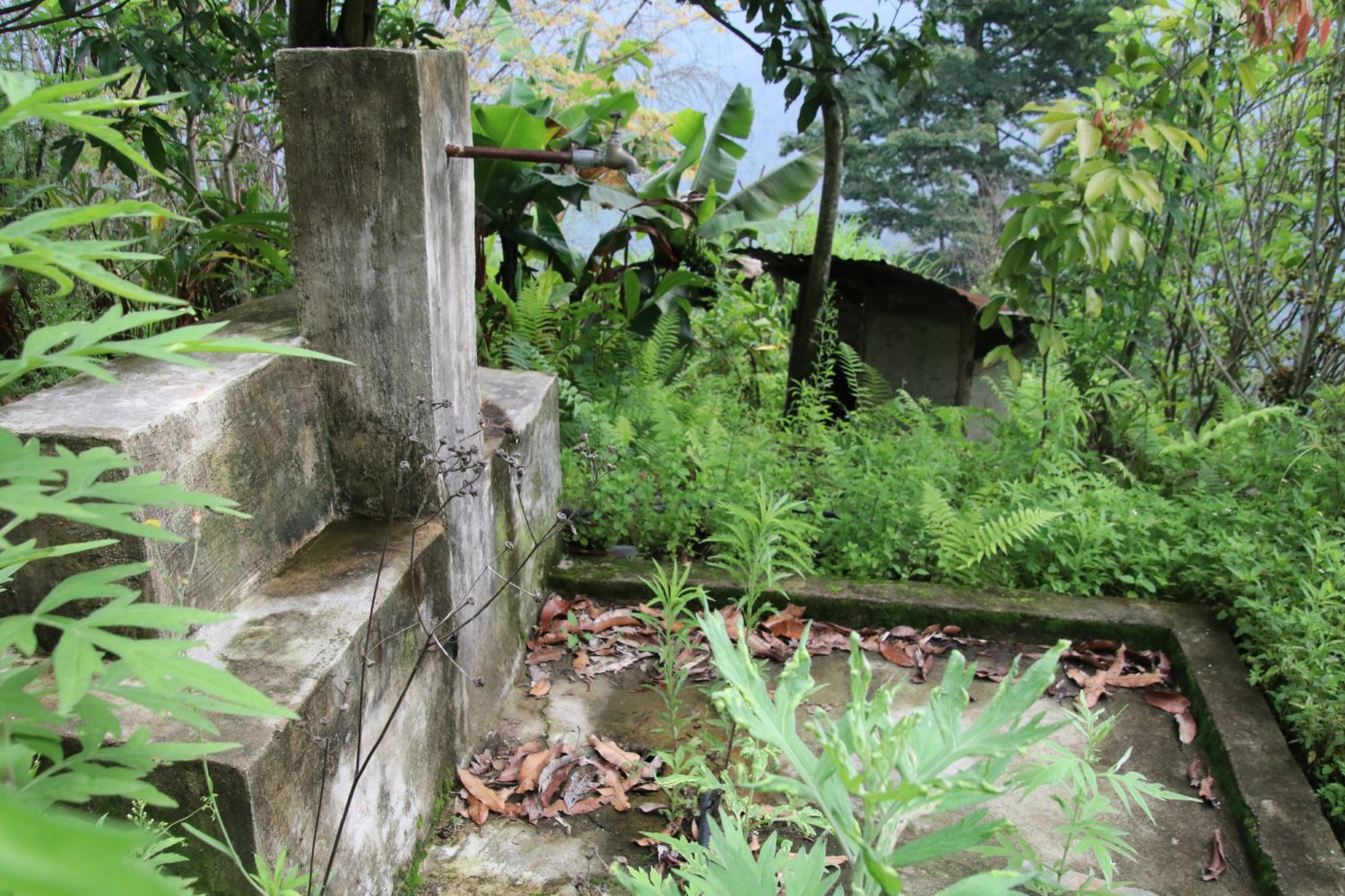 A disused and overgrown water tap near an empty house in Gozhi, Dagana