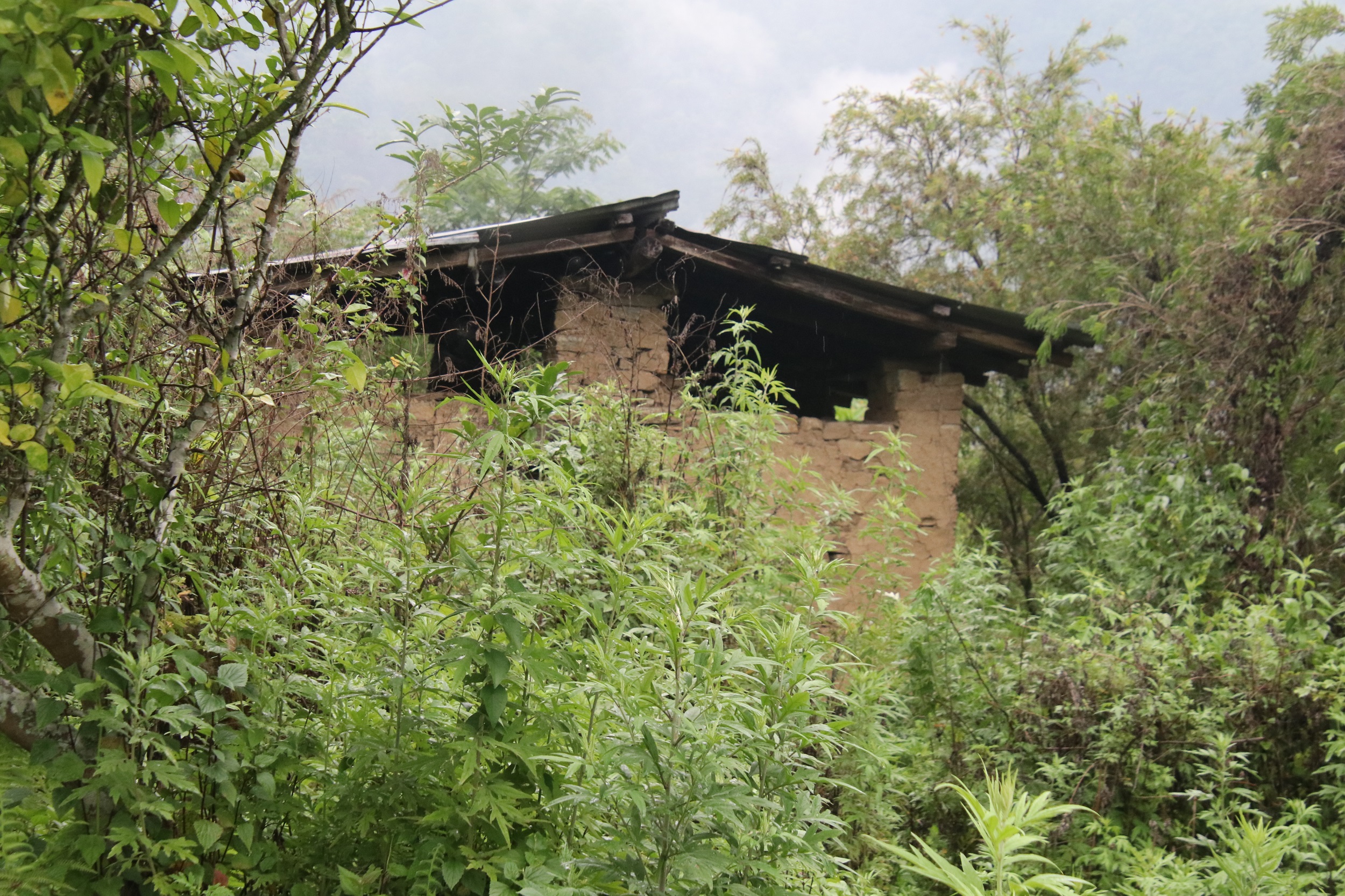 A traditional southern Bhutanese house at Dagapela left empty and covered by trees.