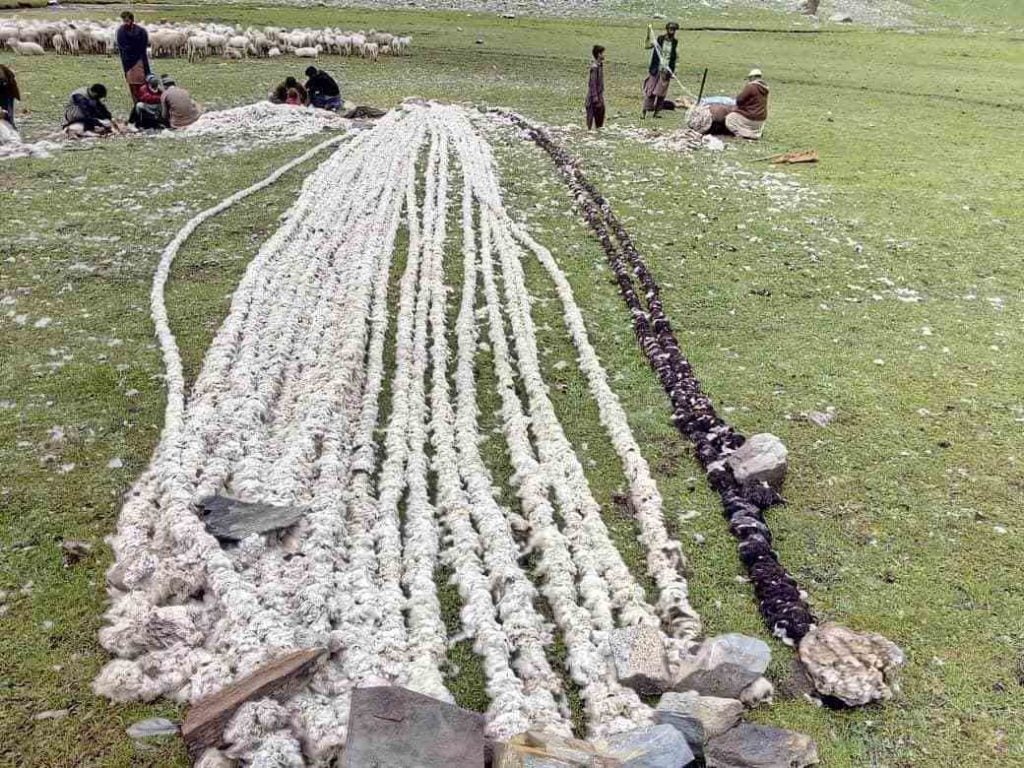 Bakarwal making wool