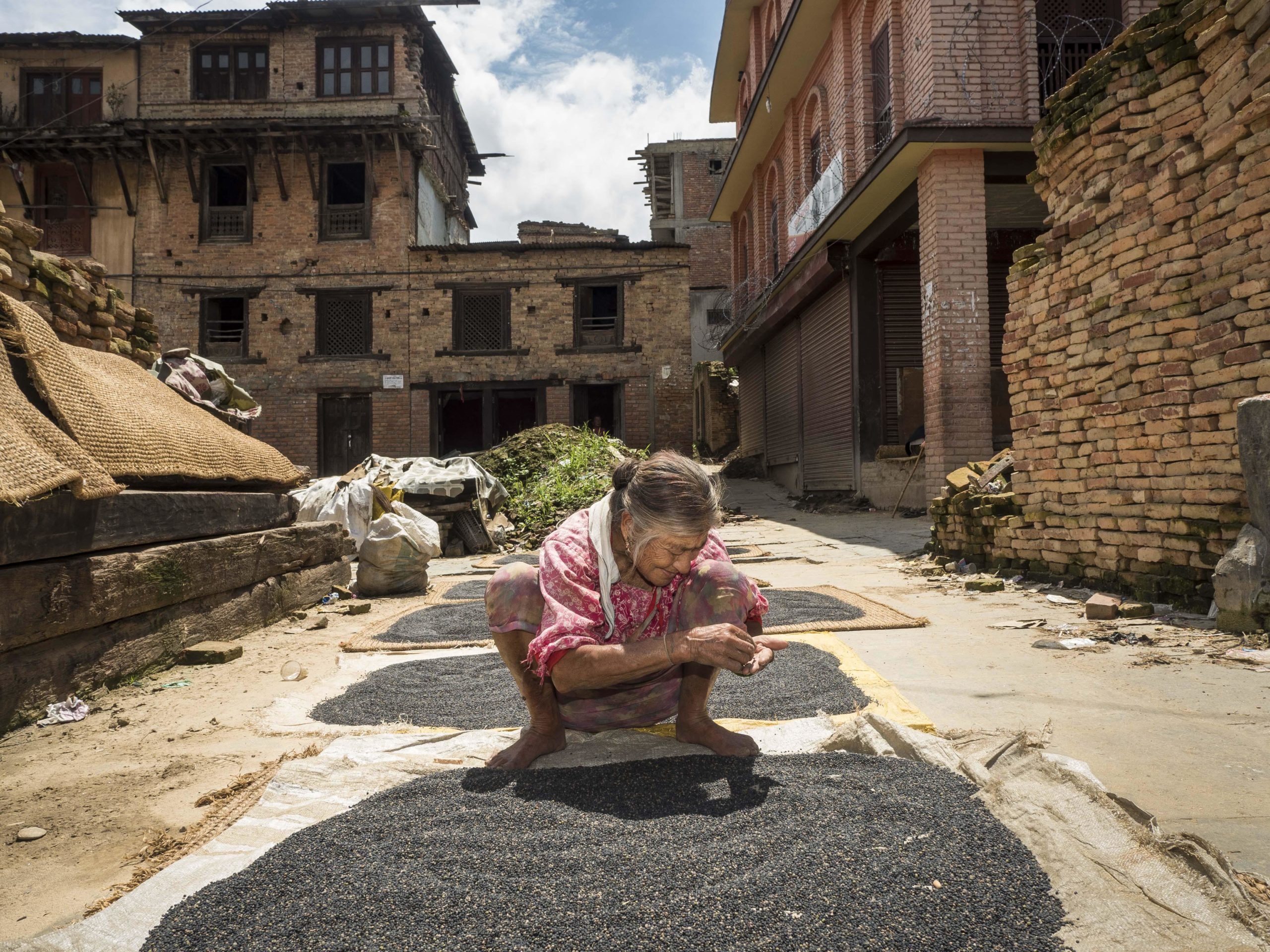 lentil farming nepal