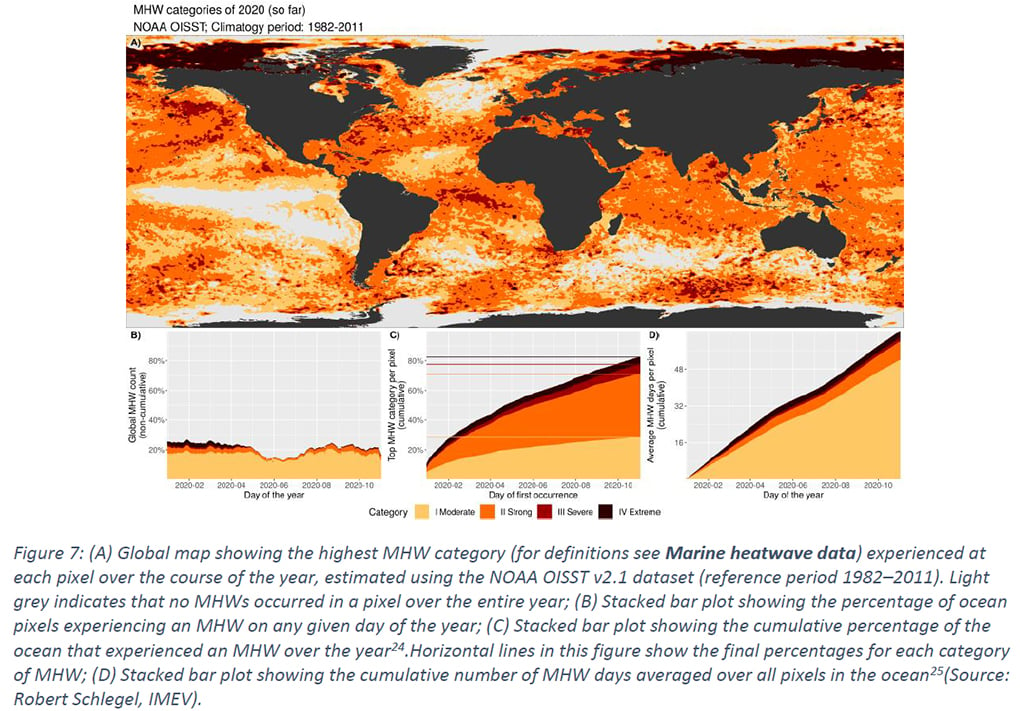 map of heatwaves in the world’s oceans in 2020 [Source: WMO]