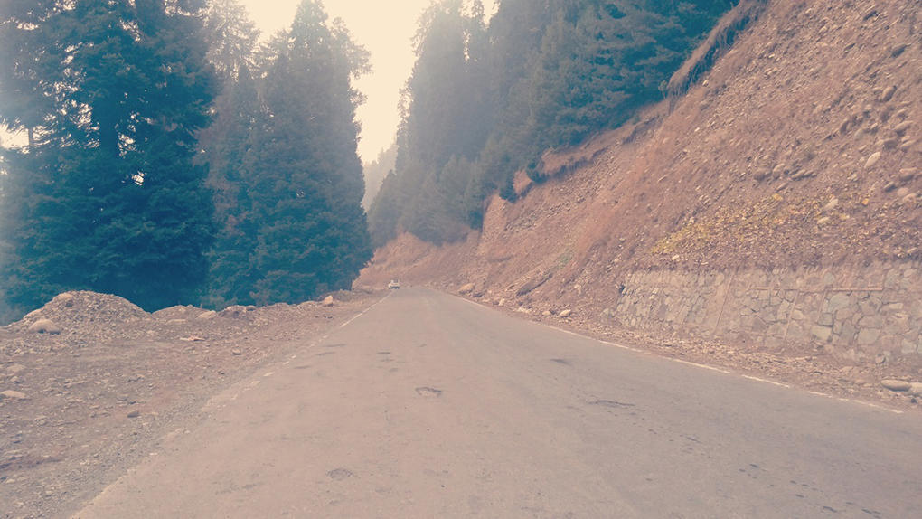 The Mughal Road within the Hirapora Wildlife Sanctuary [image by: Mudassir Kuloo]