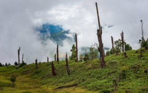 <p>Deforestation in the Himalayas near Tawang, Arunachal Pradesh, India [Image by: Daniel J. Rao / Alamy]</p>