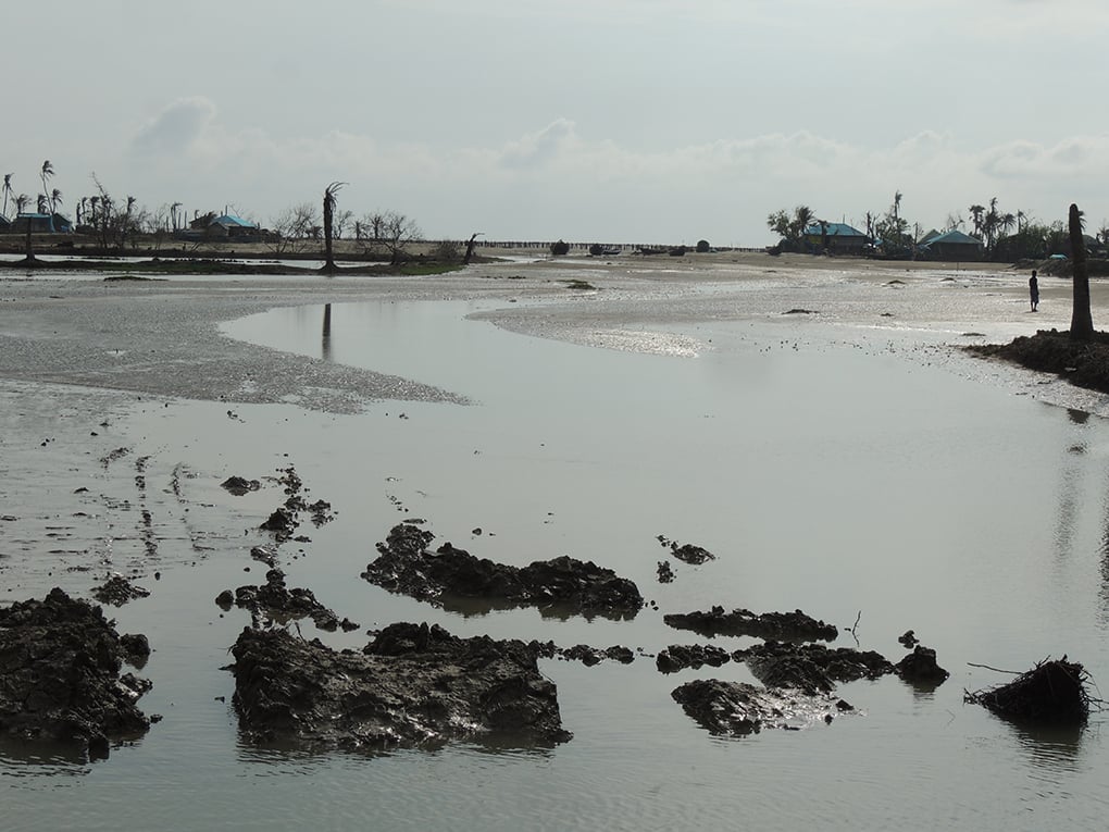 Farmland in Mousuni ruined by saltwater inundation during Cyclone Amphan