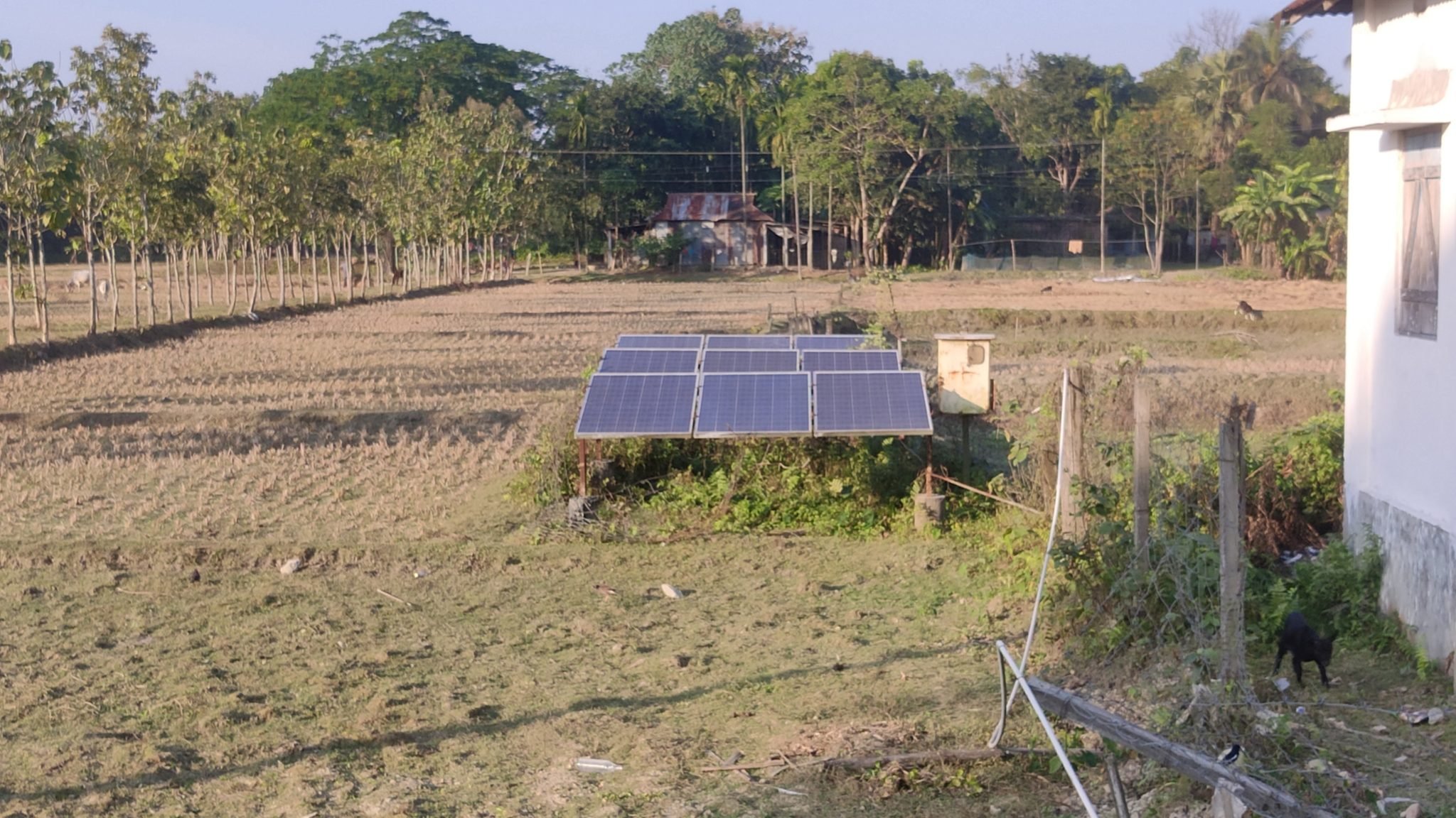 water pumps drawing water of solar in Dholaguri
