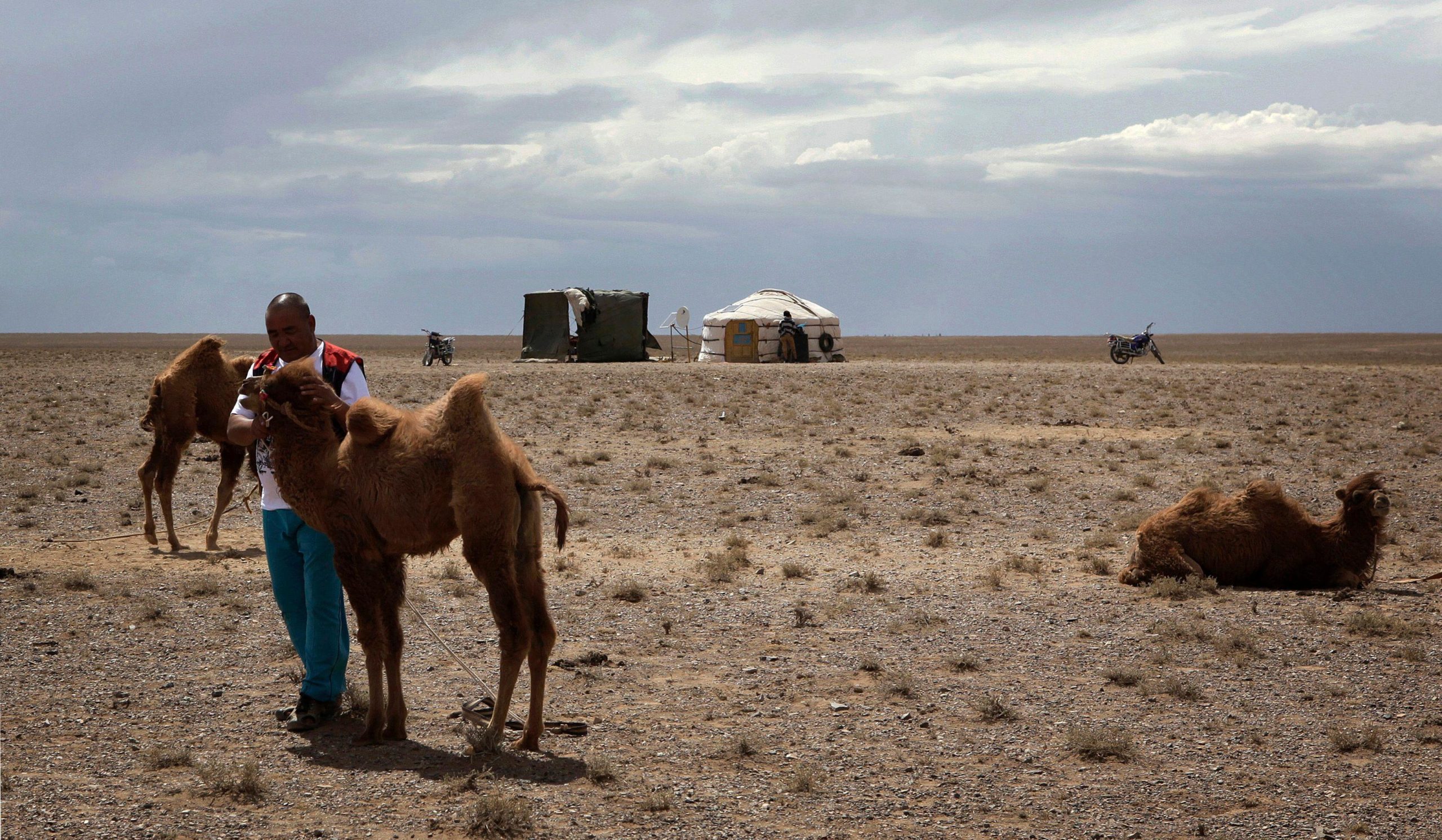 camel herder, South Gobi, Mongolia, REUTERS/David Stanway