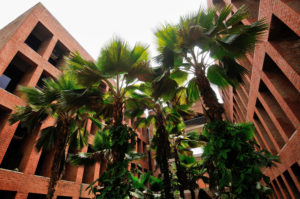 Campus of the Indian Institute of Management Ahmedabad, Gujarat (Image: Dinodia Photos/Alamy)