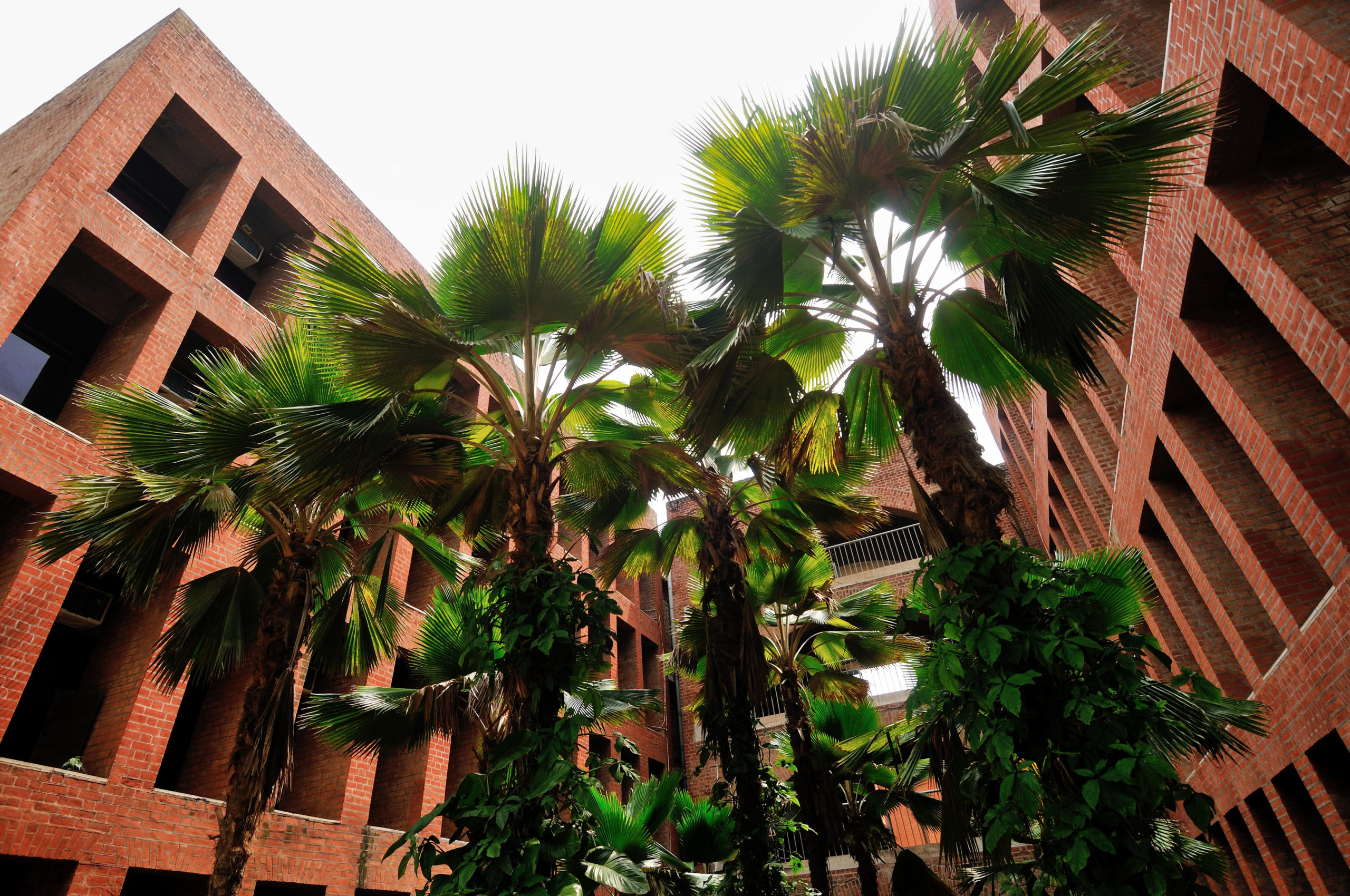 <p>Campus of the Indian Institute of Management Ahmedabad, Gujarat (Image: Dinodia Photos/Alamy)</p>