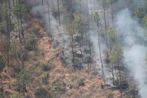 <p>Forest fires in Uttarakhand, India, in May 2017. (Image: Joydeep Gupta/The Third Pole)</p>