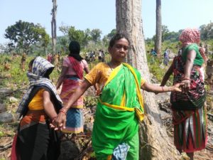 <p>Women form a circle around trees to protect them in Pidadamaha, a village in Odisha, in late May 2020 (Image © Prafulla Samantra)</p>