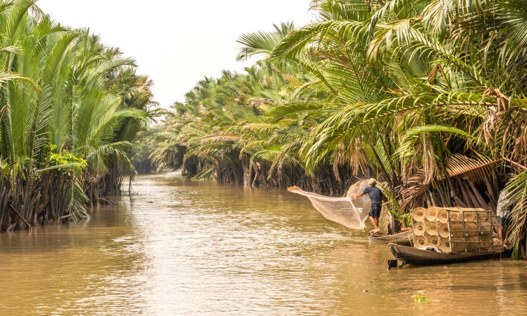 Fishing in the Mekong delta, Vietnam