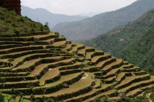 Terrace farming in Uttarakhand, Aroon Thaewchatturat