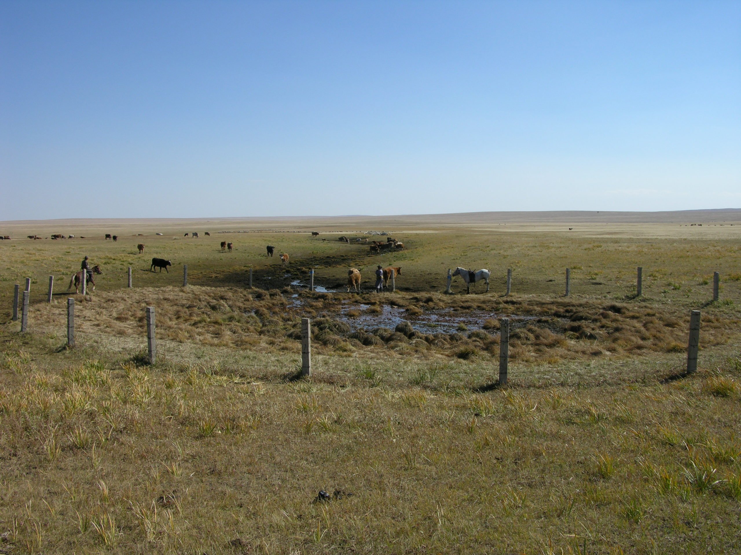 A water source in Toson Hulstay Nature Reserve, Mongolia in 2010.