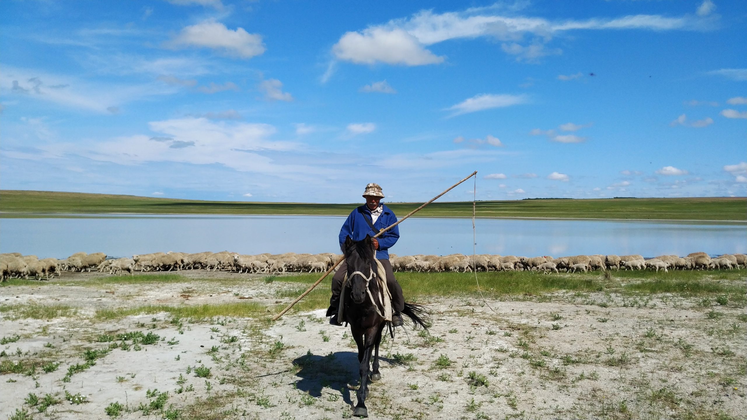A shepherd in the Russian steppe in the Landscapes of Dauria.