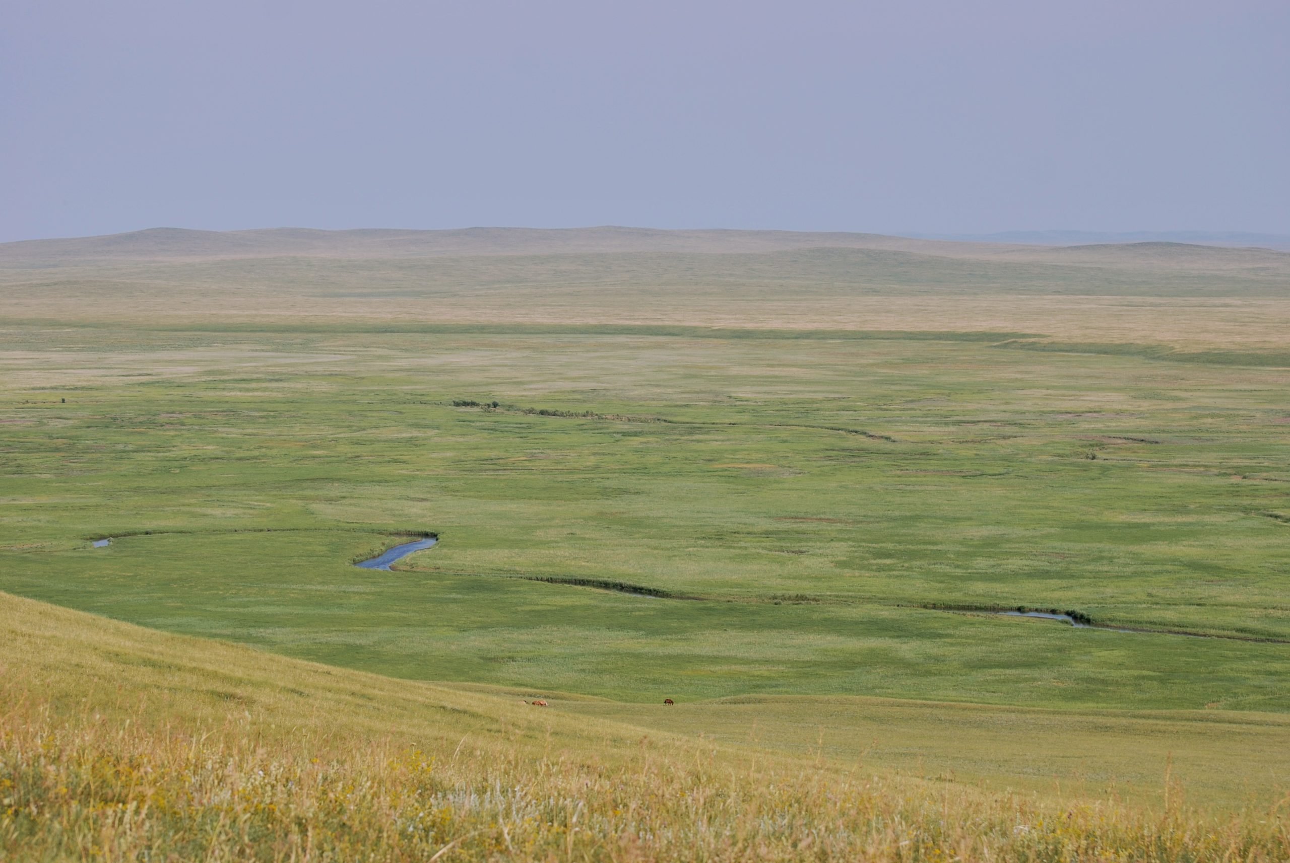 View of the Ulz River from the Eltrud Hills, a section of the Dornod Mongol Strictly Protected Area in eastern Mongolia