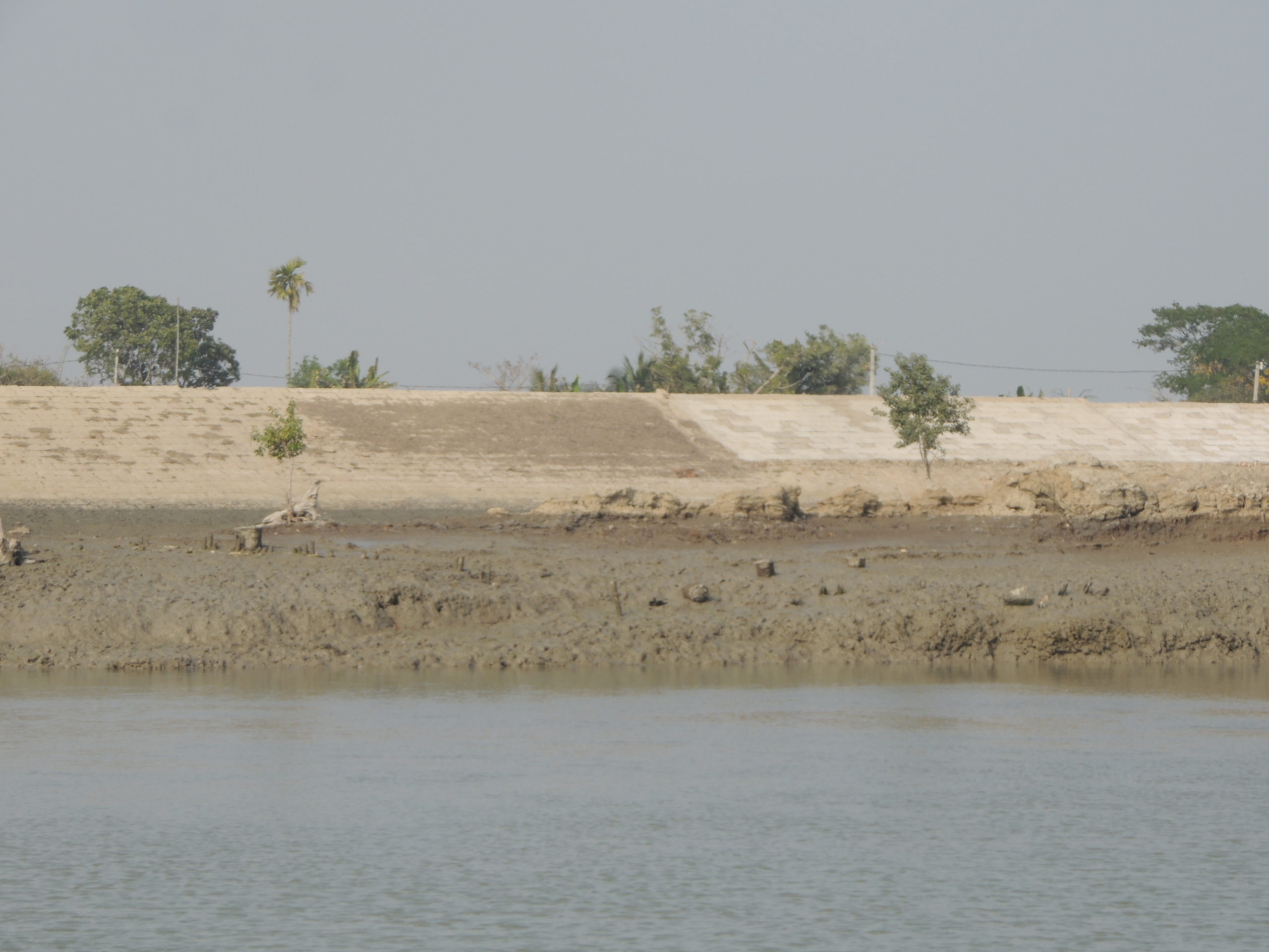 One of the embankments built in the Sundarbans after the 2009 cyclone Aila (Image: Jayanta Basu)