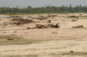 <p>The site of the villages of Anpum and Loklung is now a cemetery of trees, full of gravel, sand and stones. The Dibang River rages through this space in the wet season several metres high, extending up to the edge of the forest in the distance. In the dry season, dust storms are common. (Image: Chintan Sheth)</p>
