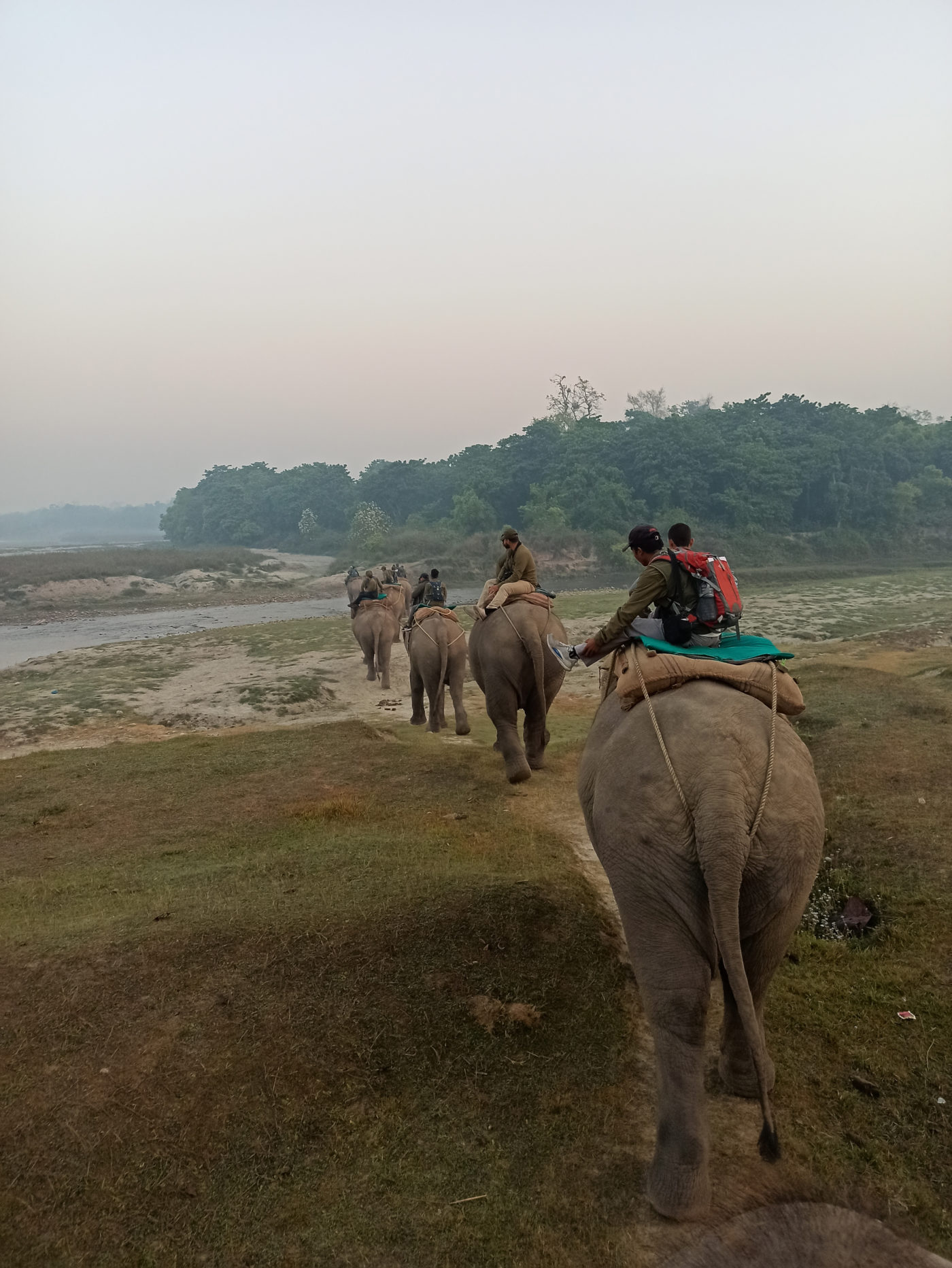 Peril and pachyderms: Memories from Nepal’s rhino survey