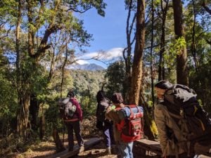 <p>The team from Thanamir village hike through the community forest to set up camera traps that monitor wildlife (Image: Ramya Nair)</p>