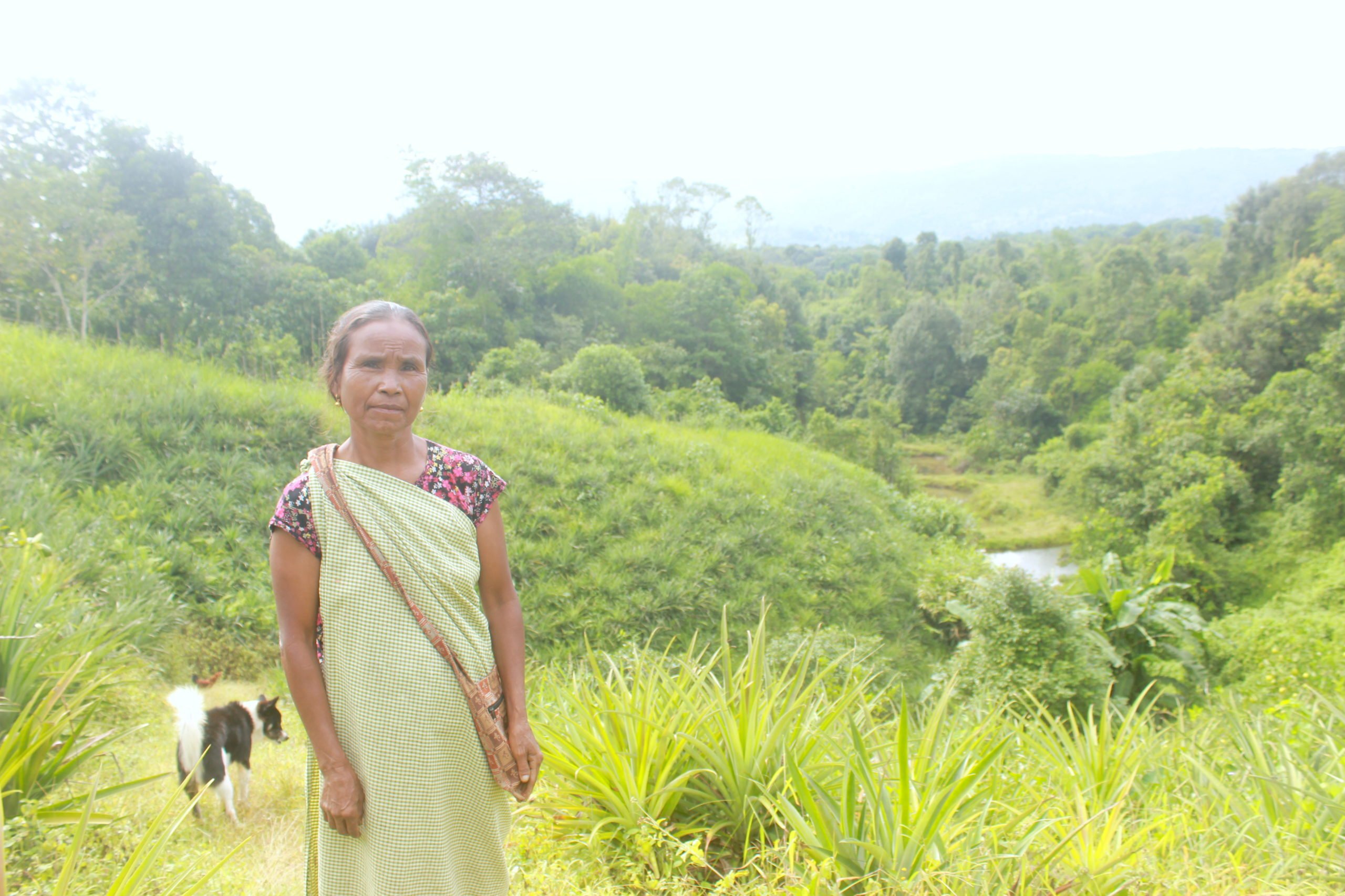 Thrias Makroh cultivates pineapples at her land on the slope of a hill. (Image: Varsha Torgalkar)