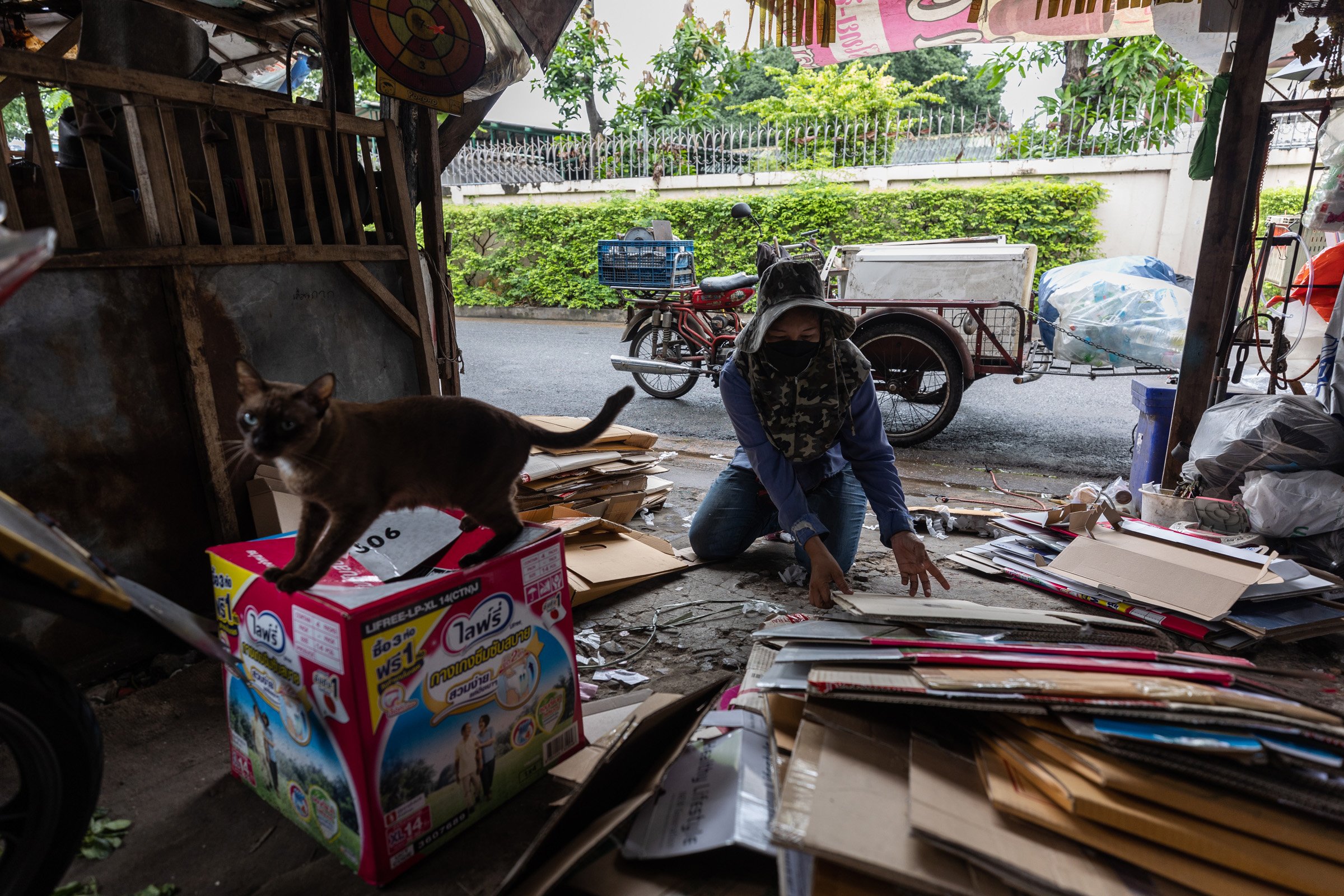 Sorting cardboard in Bangkok, Luke Duggleby